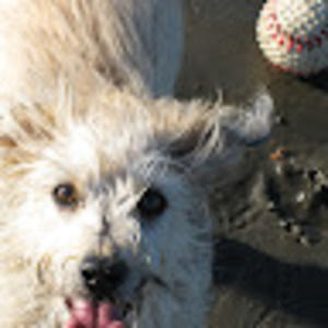 Meet your Posher, Mei